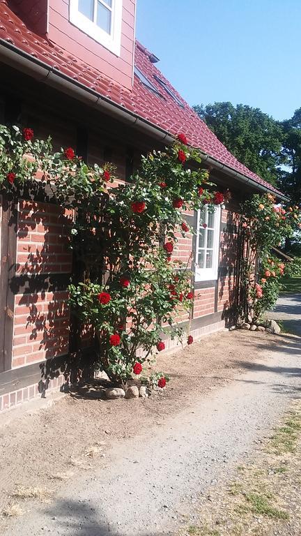 Landhaus Elbeflair Apartment Bei Doemitz Lenzerwische Экстерьер фото